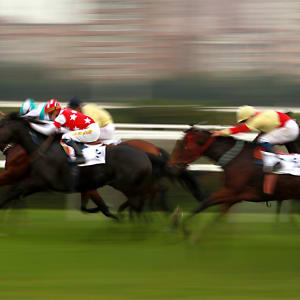 How to Bet on a Live Horse Race